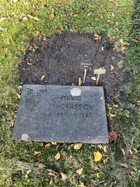 Hautatunnus: 1 H   479