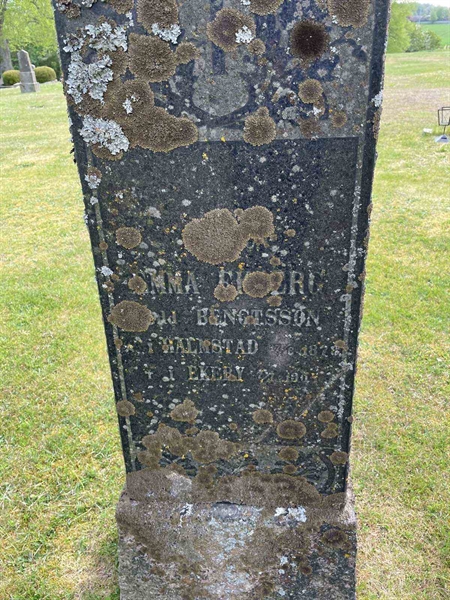 Grave number: EK D 1    35