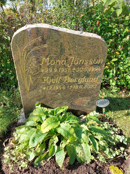 Hautatunnus: 1 L   031