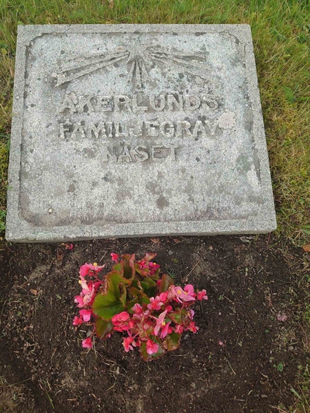 Grave number: 1 C   878