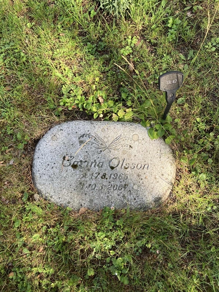 Grave number: 1 18    47