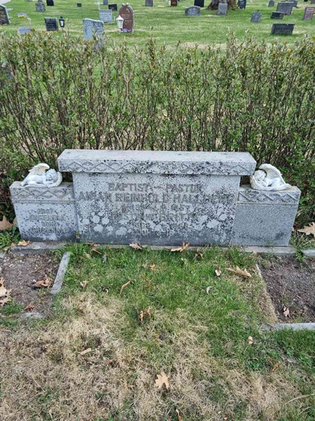 Grave number: D G 3   434