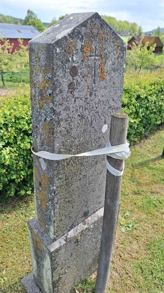 Hautatunnus: VG D   244