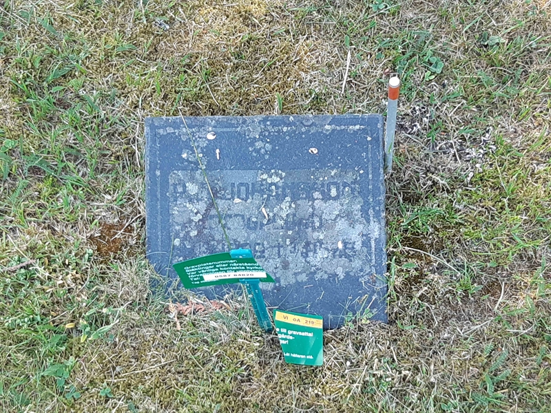 Grave number: VI Ö:A   219