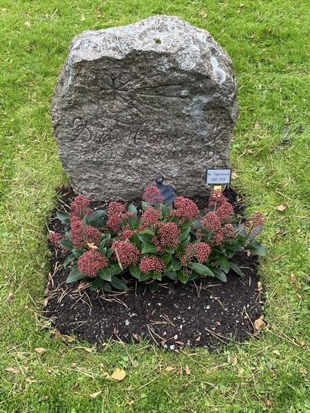 Hautatunnus: 2 C   668-669