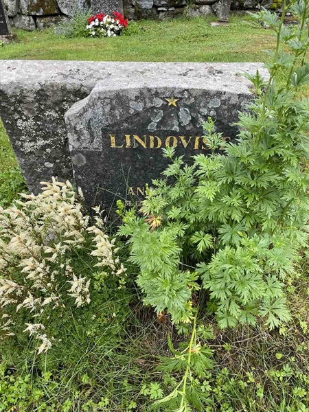 Gravnummer: N 4 4   652