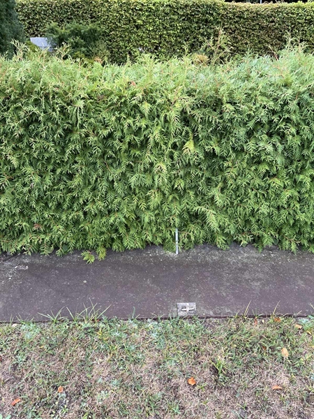 Grave number: NK XV    59