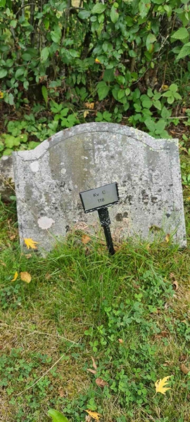 Grave number: M C  118
