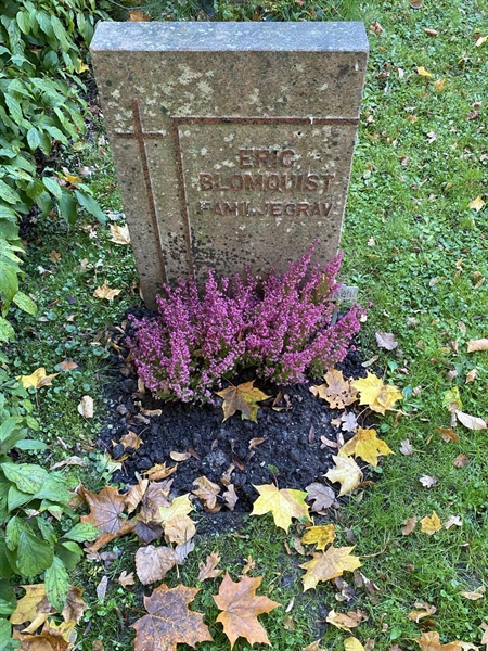 Gravnummer: 1 H   341