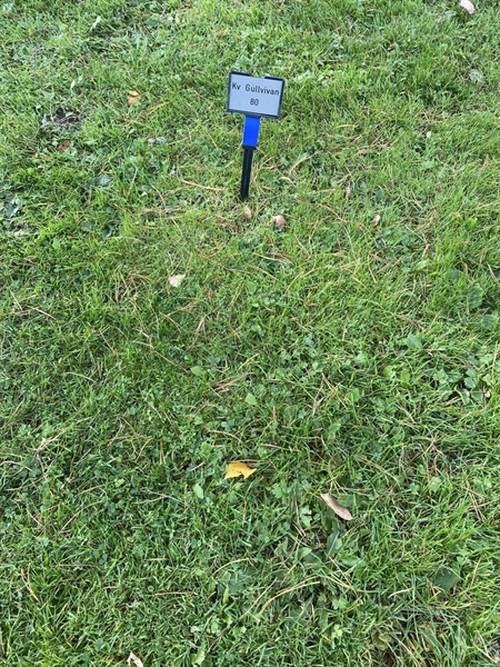 Hautatunnus: 2 G    80