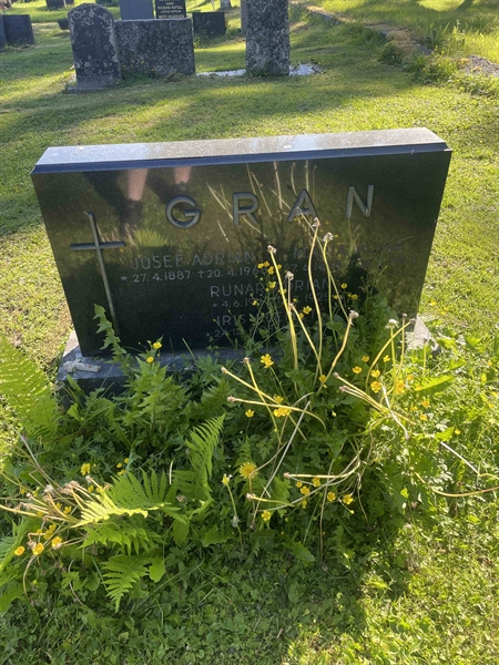 Grave number: N 5 3 467