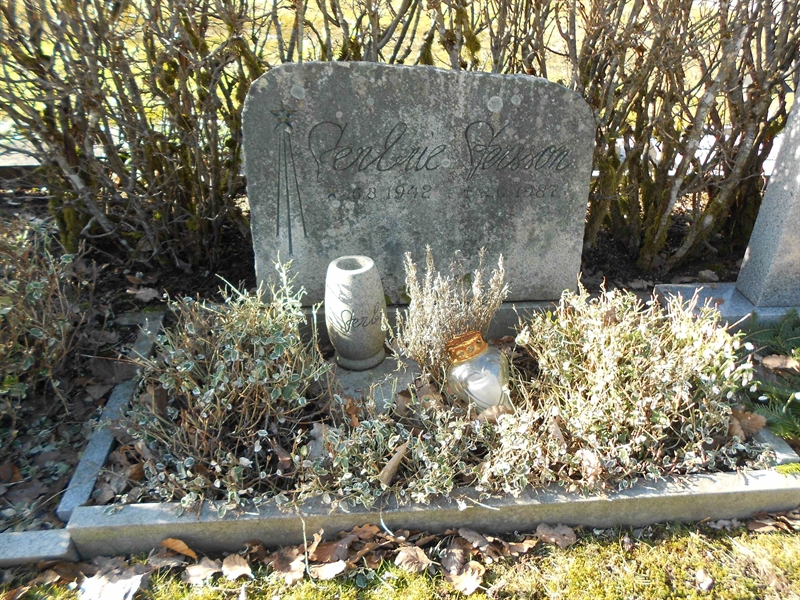 Grave number: NÅ N6    99