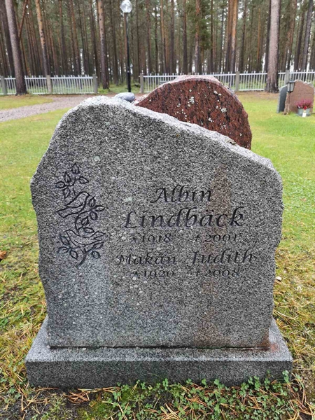 Hautatunnus: VLM 13    76-77