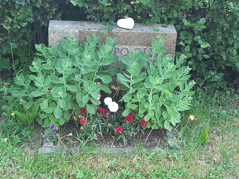 Grave number: VI 04   802