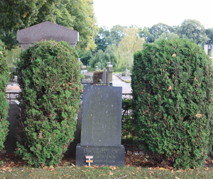 Grave number: Ö SSÄ   313, 314