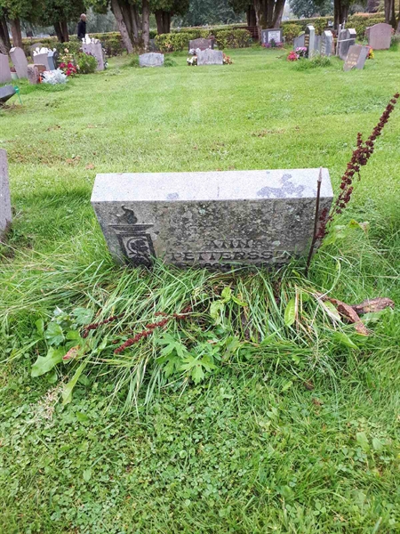 Hautatunnus: NK F B  1058