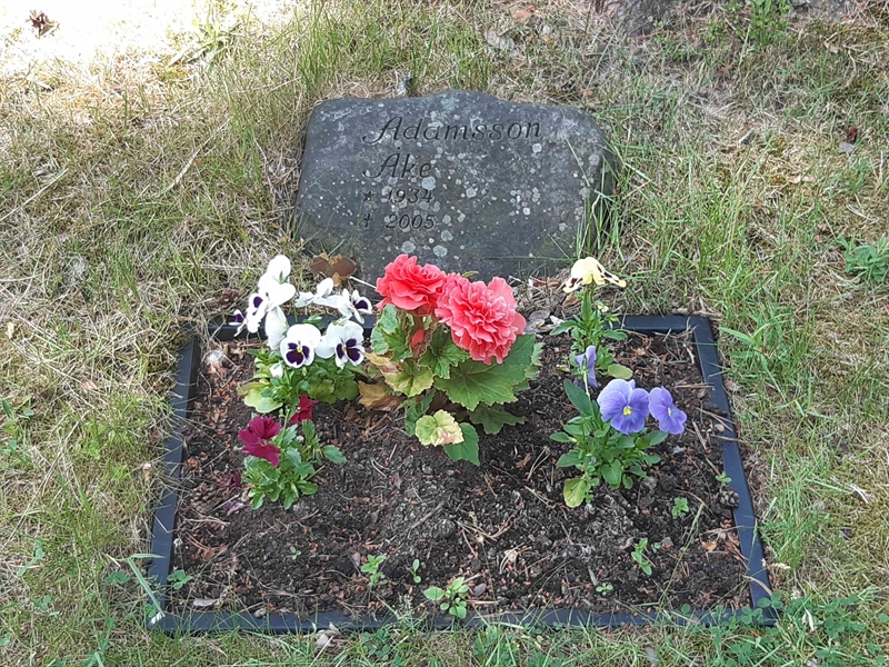 Grave number: VI 05   886