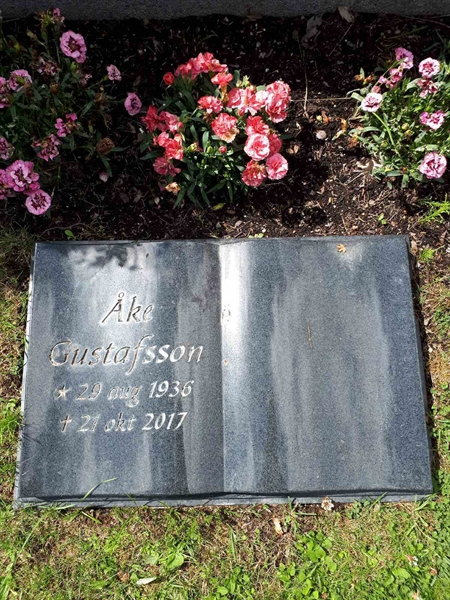 Gravnummer: GK F 5   543