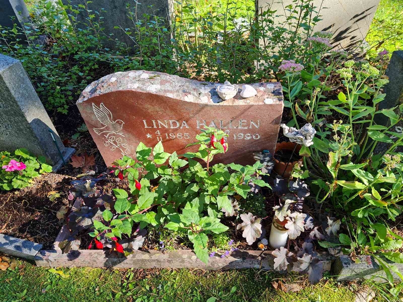 Grave number: Ö II Nu  138