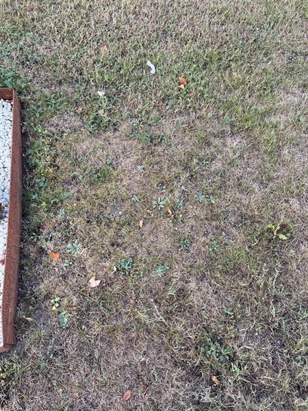 Grave number: NK XV:u    59a