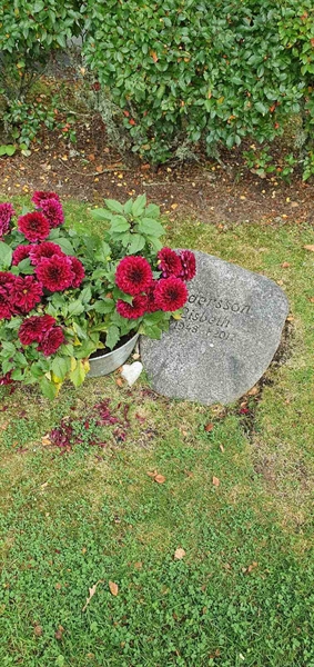 Grave number: N 007  0059