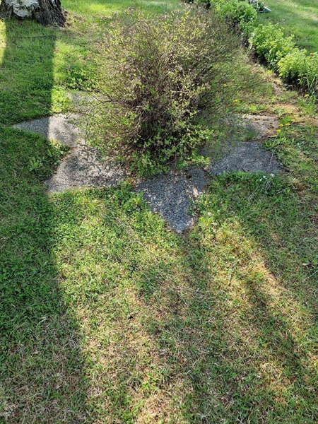Hautatunnus: 502 05 458-460