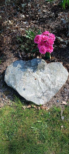 Grave number: 3 Nya U    29