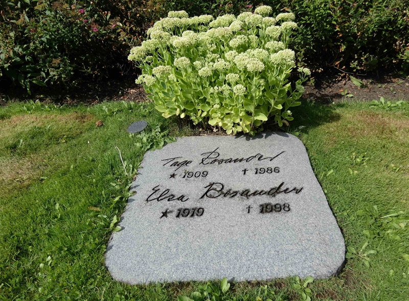 Grave number: TR C     1