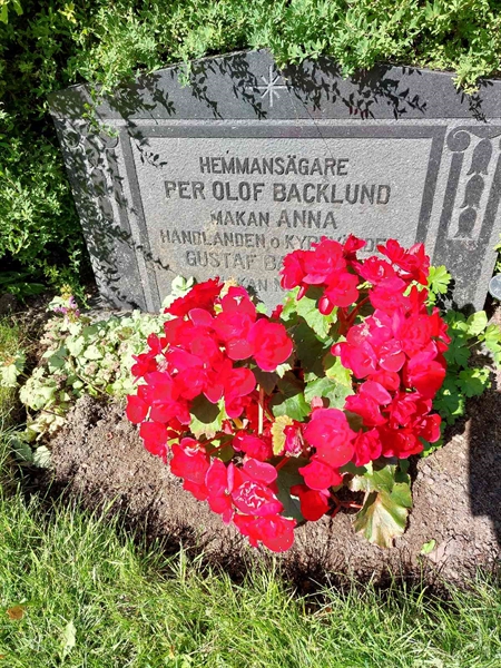 Gravnummer: 1 D   008