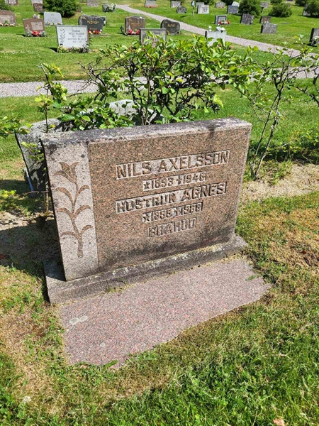 Grave number: Jä 01   113