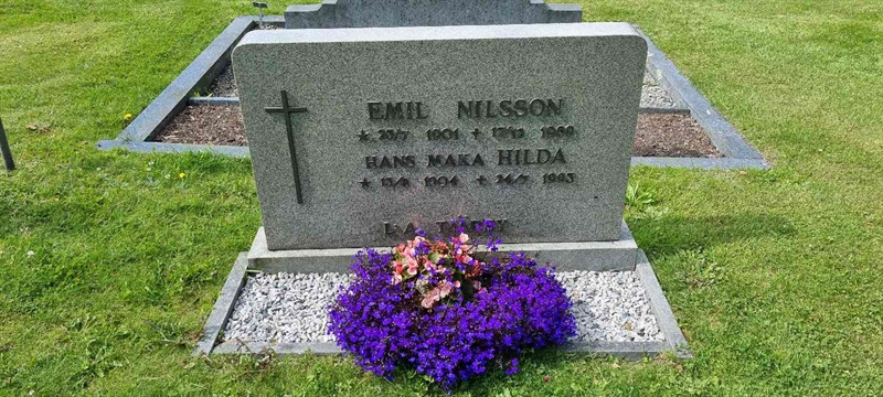 Grave number: LM 3 50  011