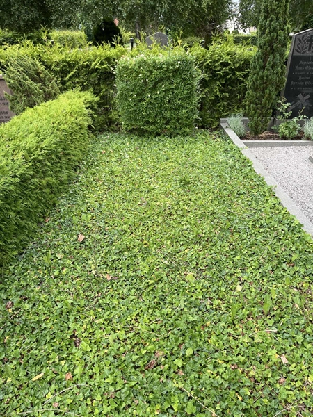 Grave number: NK II    64