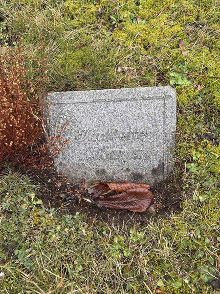 Hautatunnus: Ar A    35a