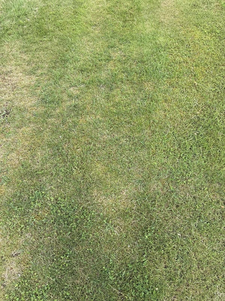Grave number: SKF E   176, 177