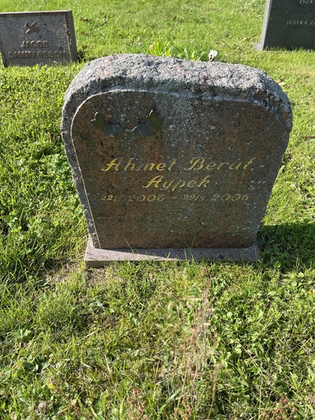 Grave number: 2 06    17b