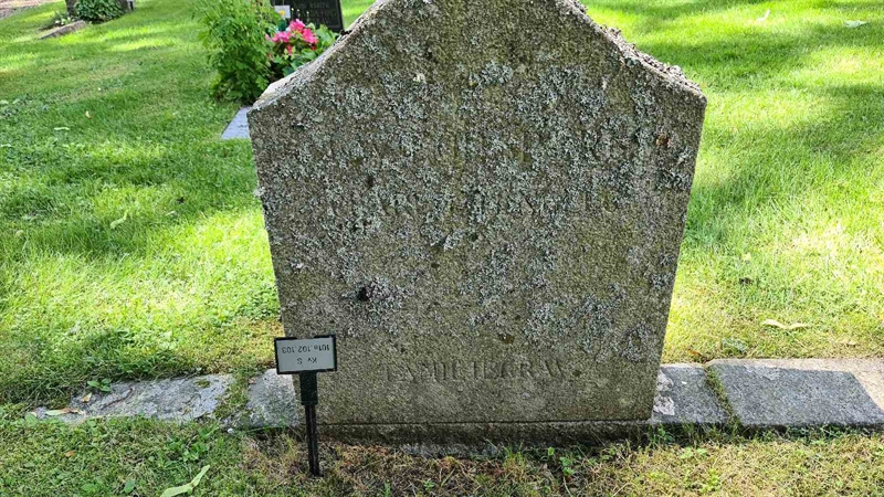 Grave number: M S  101a, 102, 103