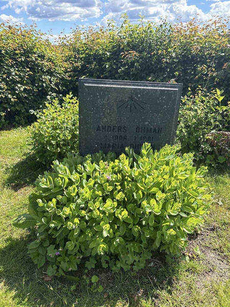 Grave number: G 12     9