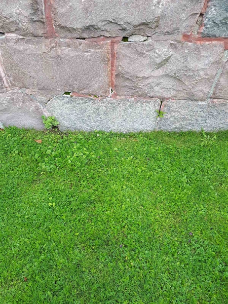 Hautatunnus: NK F G   151