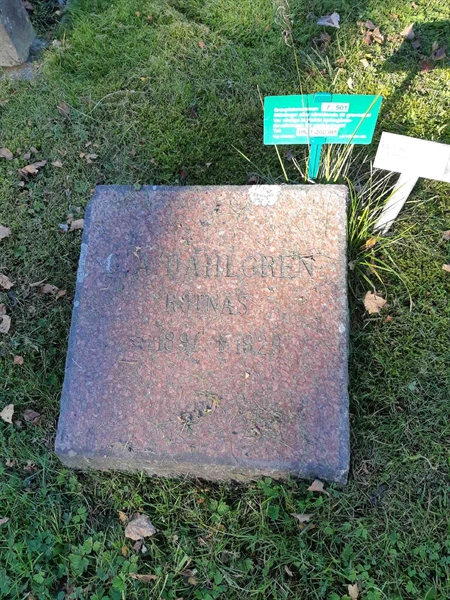 Gravnummer: Fr 7   501