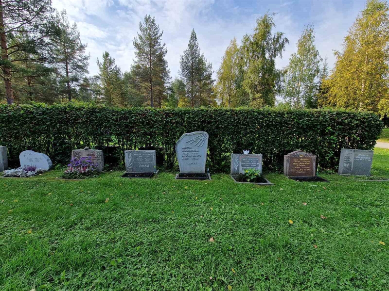 Grave number: 3 16    62