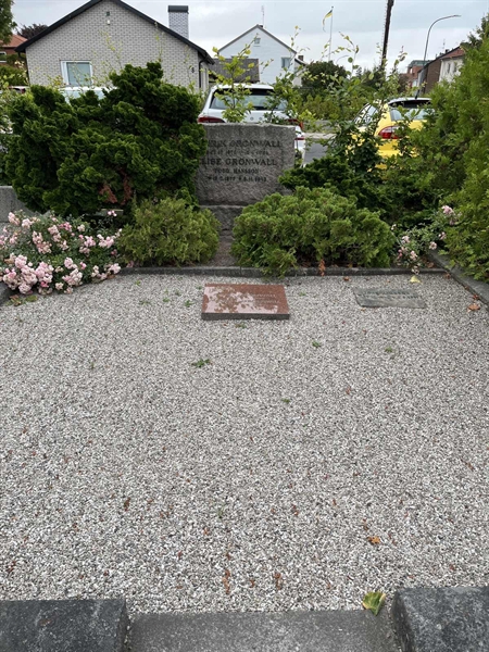 Grave number: NK IX   157