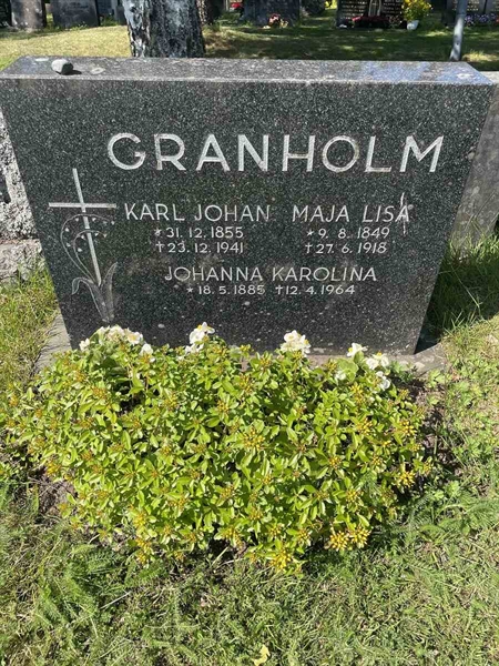 Hautatunnus: N 5 2   291