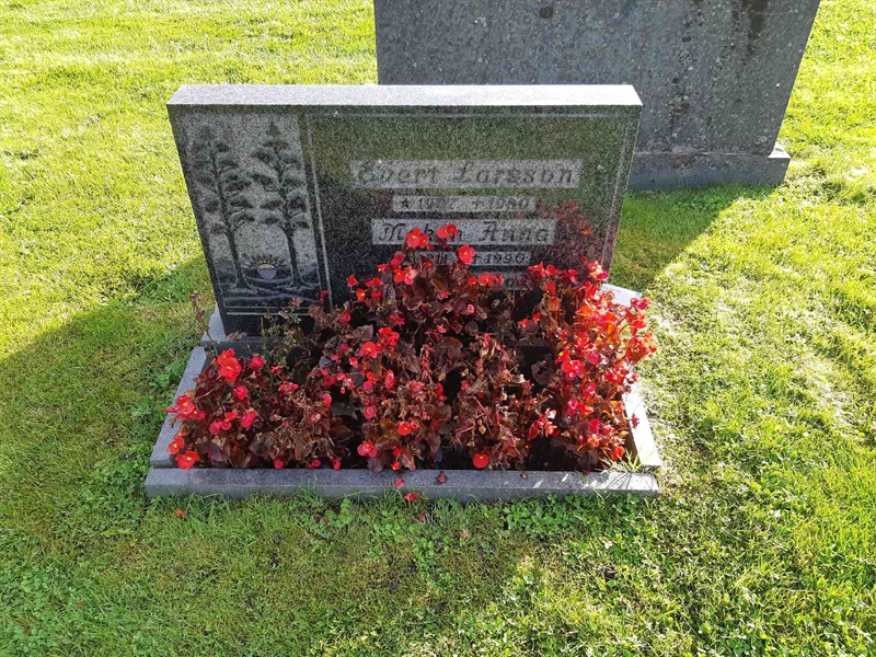 Hautatunnus: Fr 8   444-445