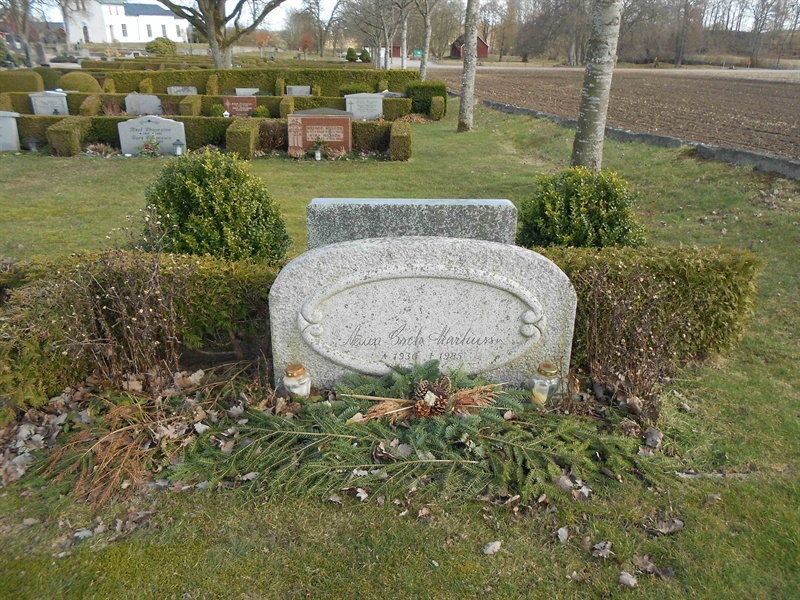 Grave number: V 38   230