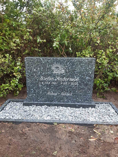 Grave number: NY V    31