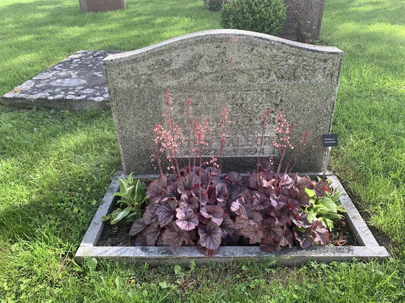 Grave number: Ar D     8