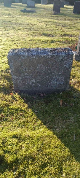 Gravnummer: 3 Nya E   115-116