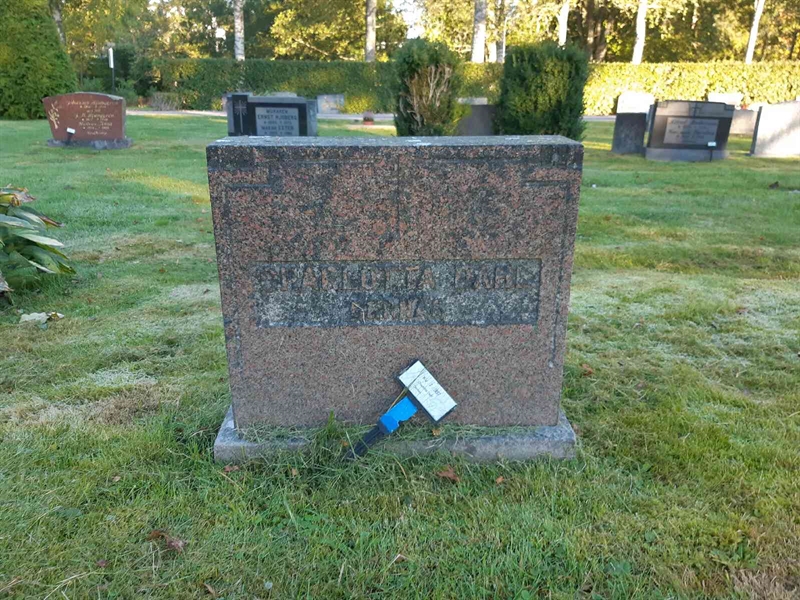 Grave number: Fr 7   387