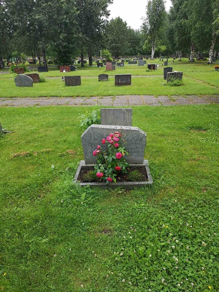 Hautatunnus: NK 12    22