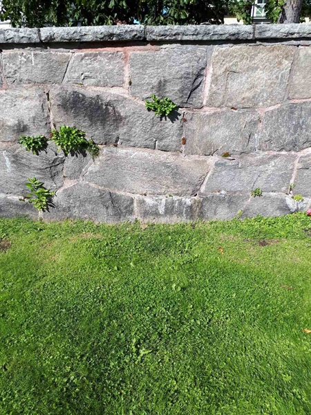 Hautatunnus: NK F G    17